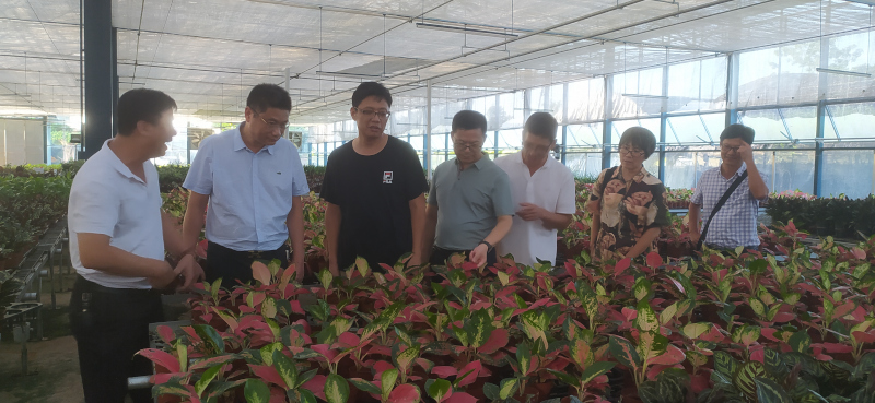 微信图片_20220729171739.jpg 微信图片_20220729171739.jpg