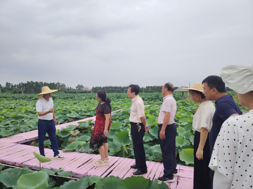 图片14.png 图片14.png