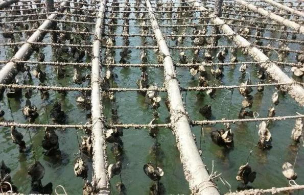 图片14.png 图片14.png