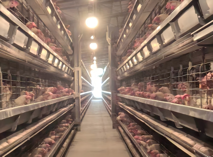 图片17.png 图片17.png