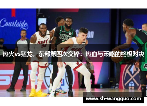 热火vs猛龙，东部第四次交锋：热血与策略的终极对决