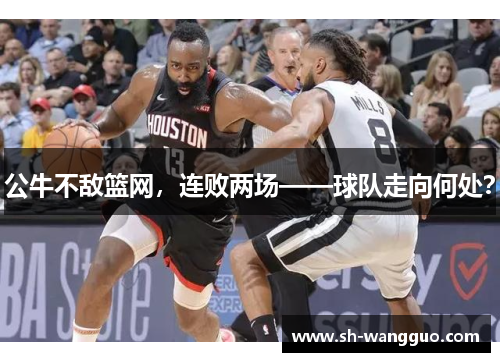 公牛不敌篮网，连败两场——球队走向何处？