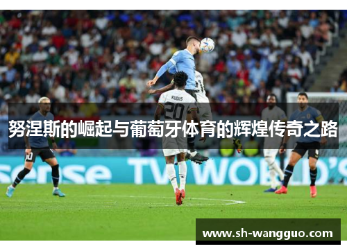 努涅斯的崛起与葡萄牙体育的辉煌传奇之路